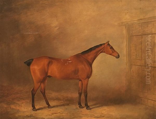 Caballo Oil Painting by James Barenger the Younger