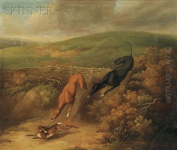 Greyhounds In The Hunt For A Rabbit Oil Painting by James Barenger the Younger