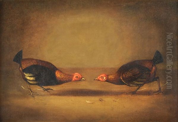 Cock Fighting Oil Painting by James Barenger the Younger