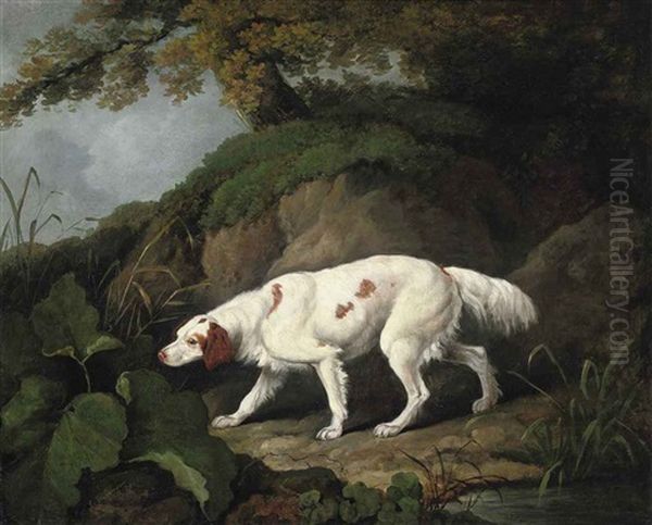 A Setter In A Wooded Landscape Oil Painting by James Barenger the Younger