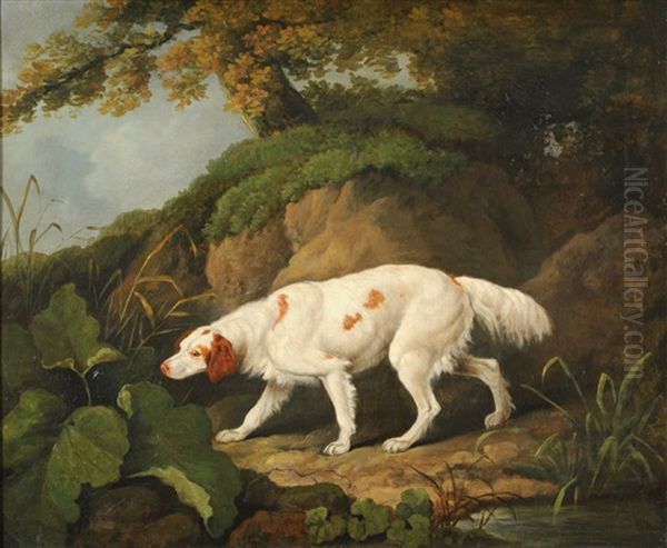 Irish Setter In A Wooded Landscape Oil Painting by James Barenger the Younger