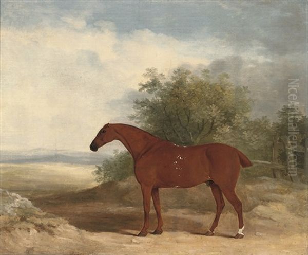 A Racehorse In A Landscape Oil Painting by James Barenger the Younger