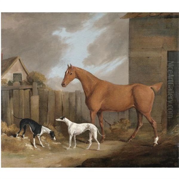 A Chestnut Hunter With Two Greyhounds In A Stable Yard Oil Painting by James Barenger the Younger