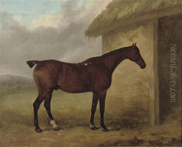 A Chesnut Hunter Outside A Stable Oil Painting by James Barenger the Younger