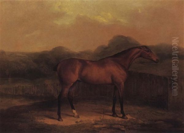 Race Horse Standing Before A Fence Oil Painting by James Barenger the Younger