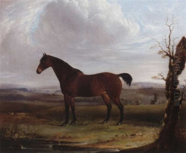 A Bay Hunter In An Extensive Landscape Oil Painting by James Barenger the Younger