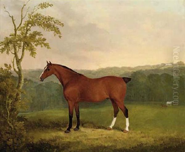 A Baby Carriage Horse, The Property Of E. Fuller-maitland, Esq., M.p. Oil Painting by James Barenger the Younger