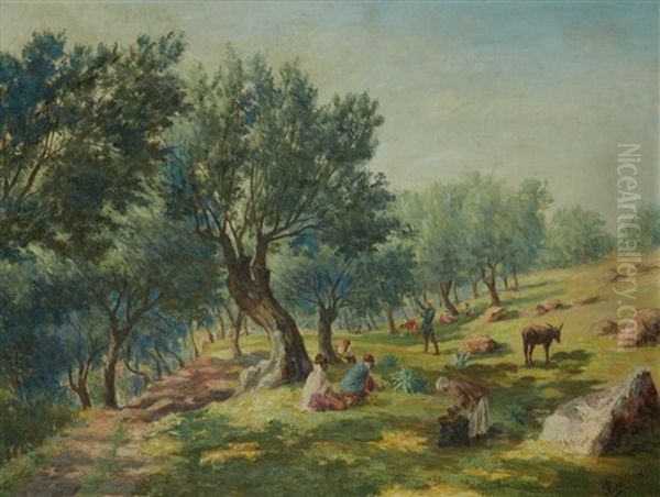 La Cueillette Des Olives Gathering The Olives Oil Painting by Alcide Bariteau