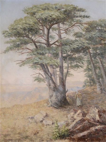 Sous Un Cedre De L'atlas Oil Painting by Alcide Bariteau