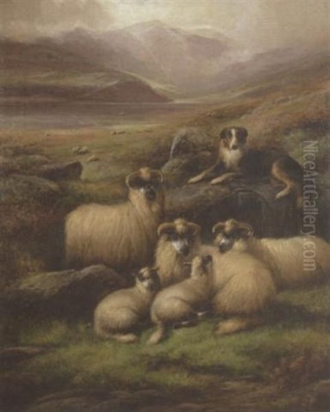 Sheep In A Landscape Oil Painting by John Barker