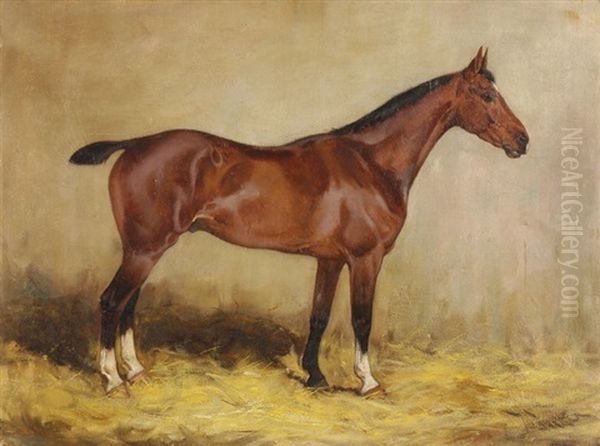 Brauner Im Stall Oil Painting by Wright Barker