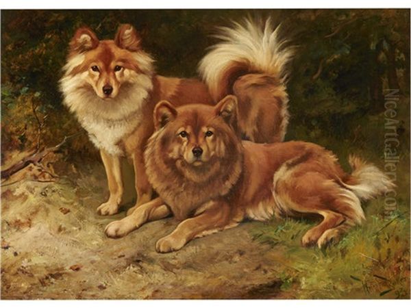 Two Finnish Spitz Oil Painting by Wright Barker