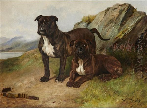 Jack Tar & Another Bulldog Oil Painting by Wright Barker