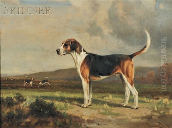 Fox Hound Wicklow by Wright Barker