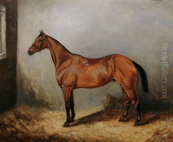 Brown Horse In A Stable Oil Painting by Wright Barker