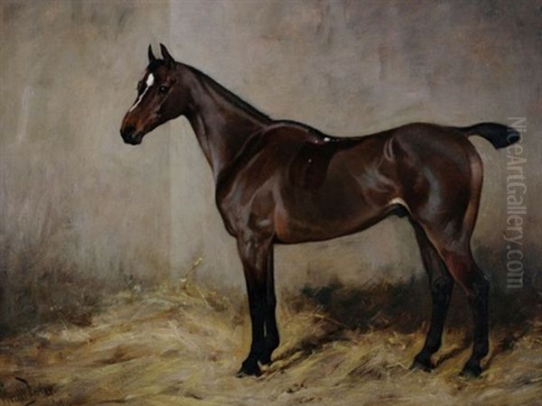 Brown Horse In Stable Oil Painting by Wright Barker