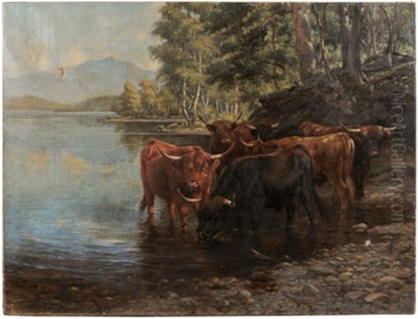 Highland Cattle In A Lake Oil Painting by Wright Barker