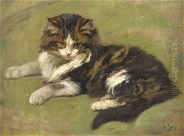 Cat Study Oil Painting by Wright Barker