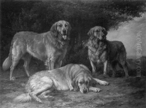 Yellow Russian Retrievers Oil Painting by Wright Barker