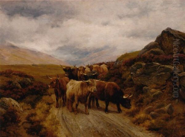 Highland Cattle On A Mountain Track Oil Painting by Wright Barker