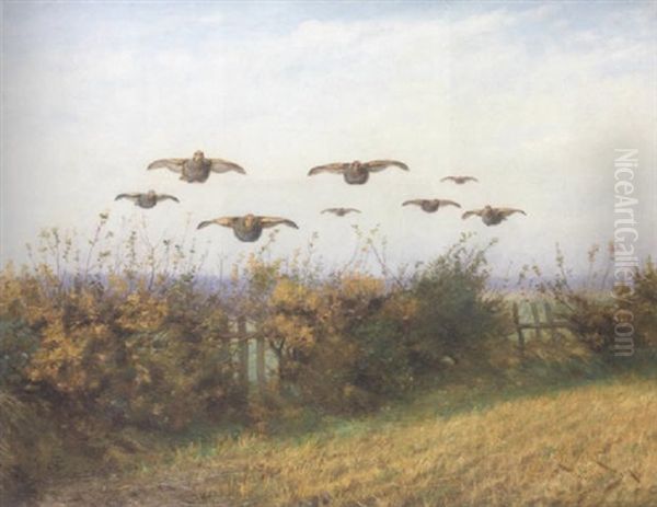 A Covey Of Partridge Oil Painting by Wright Barker