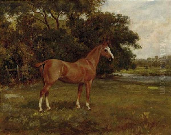 A Chestnut Hunter In A Paddock Oil Painting by Wright Barker