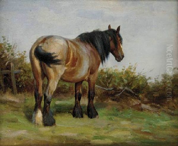 A Pony In A Field Oil Painting by Wright Barker