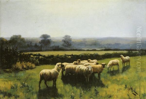 Morning: Sheep Grazing In A Landscape Oil Painting by Wright Barker