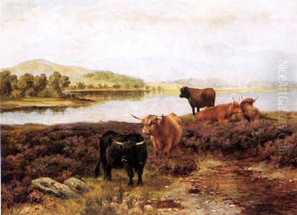 Higland Cattle Resting Oil Painting by Wright Barker