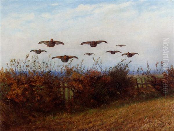 Partridges Flying Low Oil Painting by Wright Barker