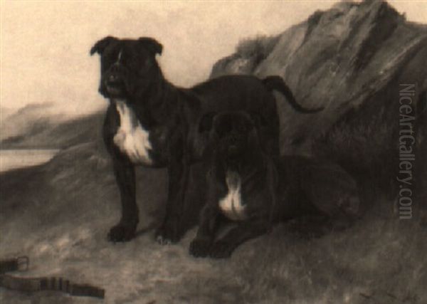 Portrait Of Two Bull Mastiffs In A Landscape Oil Painting by Wright Barker