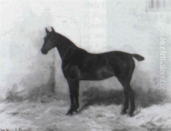 Chesnut Hunter Oil Painting by Wright Barker