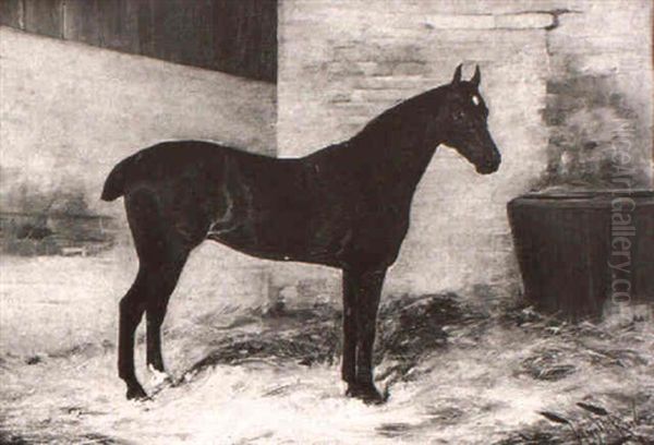 A Dark Bay Horse In A Stable Oil Painting by Wright Barker