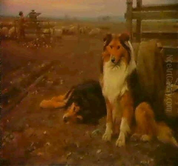 Sheep Dogs by Wright Barker