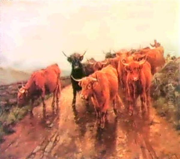 Driving Highland Cattle Oil Painting by Wright Barker