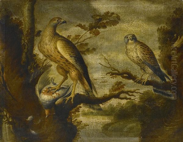 A Buzzard With A Dead English Partridge Watched By A Kestrel Oil Painting by Francis Barlow