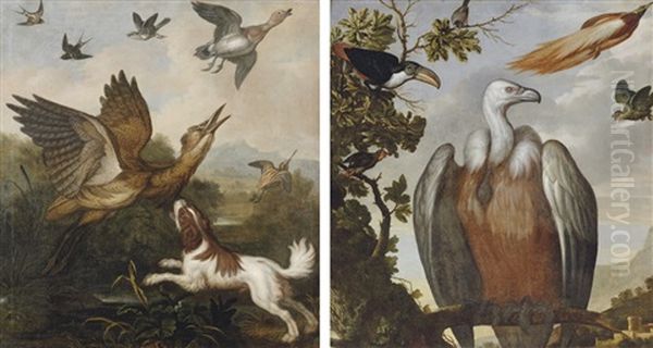 A Spaniel Putting Up A Bittern, Snipe, Duck And Other Birds (+ A Vulture, A Hornbill And Other Birds In A Landscape; Pair) Oil Painting by Francis Barlow