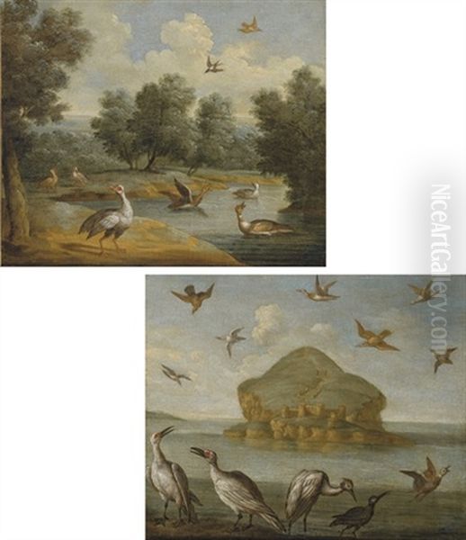 Birds In A River Landscape (+ Seabirds By The Bass Rock; Pair) Oil Painting by Francis Barlow