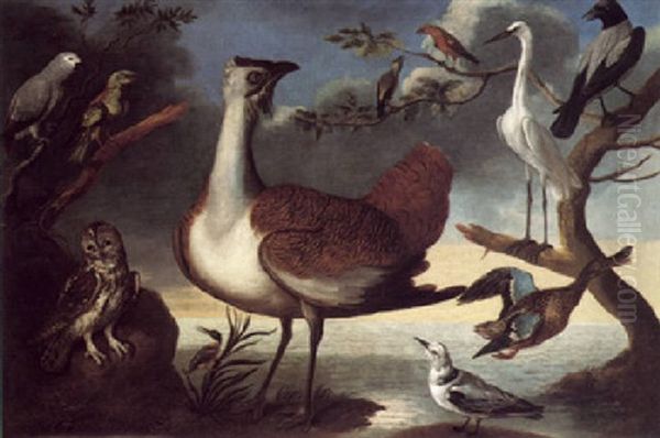 Exotic Fowl On A Bank With A Grey Parrot, Green Woodpecker, Tawney Owl, A Kingfisher, A Great Bustard, A Pair Of Cross Bills, A Kittywake Oil Painting by Francis Barlow