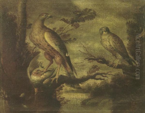 Two Falcons With Their Prey, Perched On Branches Oil Painting by Francis Barlow