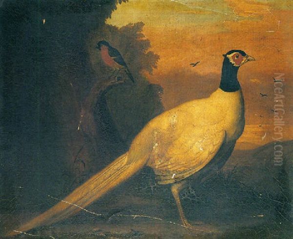 Study Of An Ornamental Pheasant And A Bullfinch In A Landscape Oil Painting by Francis Barlow