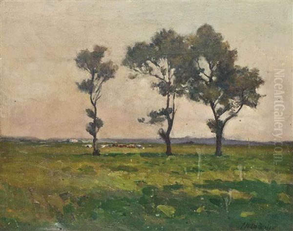 Landscape With Trees, Cattle Grazing Beyond Oil Painting by John Noble Barlow