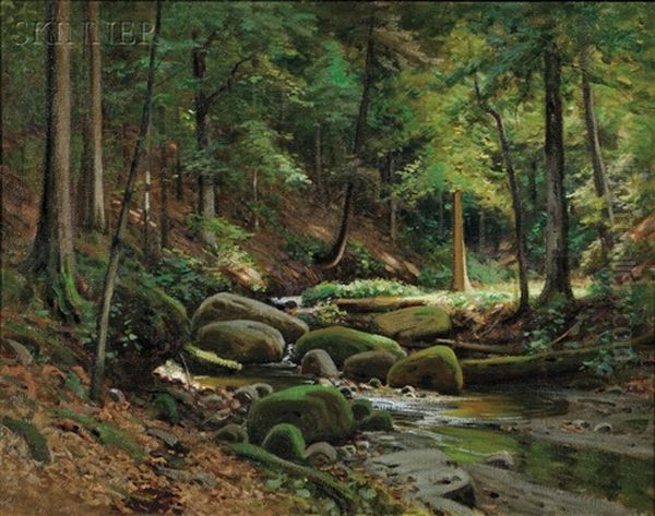 Adirondack Woods Oil Painting by Frank A. Barney