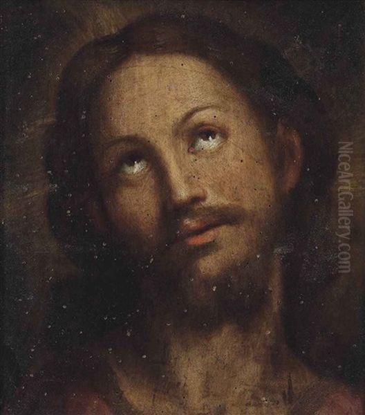 Head Of Christ by Federico Barocci