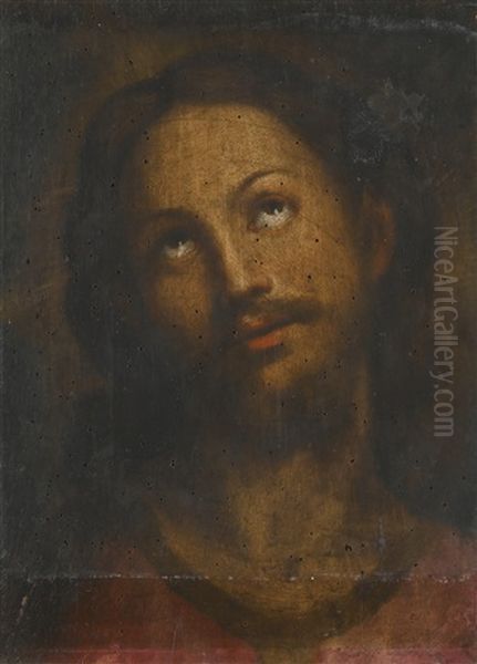 Head Of Christ Oil Painting by Federico Barocci