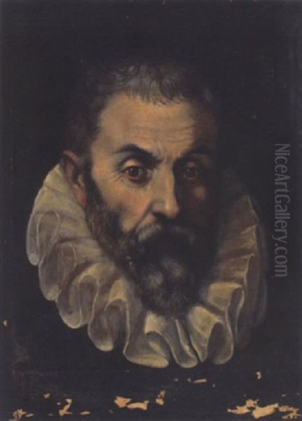 Portrait Of A Gentleman (guidoballdo Della Rovere, Duke Of Urbino?) Oil Painting by Federico Barocci