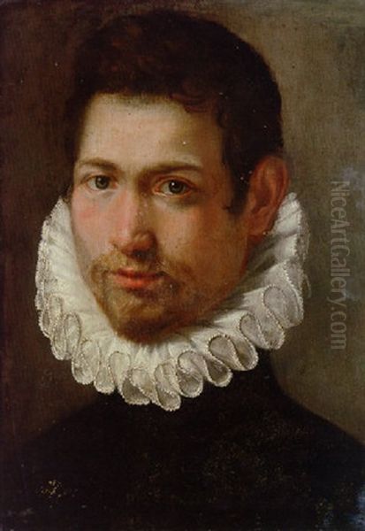 Portrait Of A Young Man In A White Ruff Oil Painting by Federico Barocci