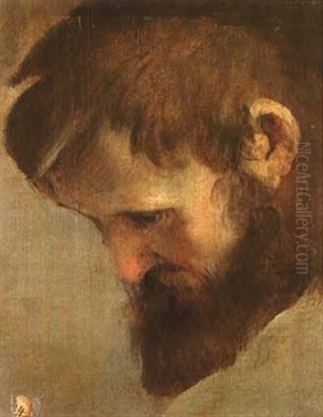 The Head Of A Bearded Man Looking Down Oil Painting by Federico Barocci