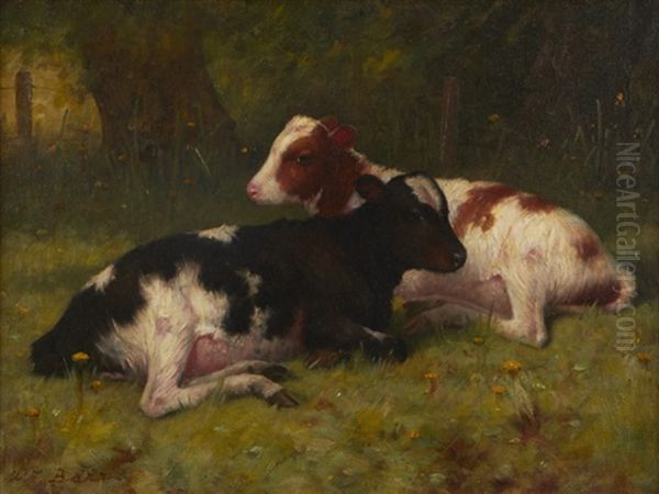 Resting Calves Oil Painting by William Barr