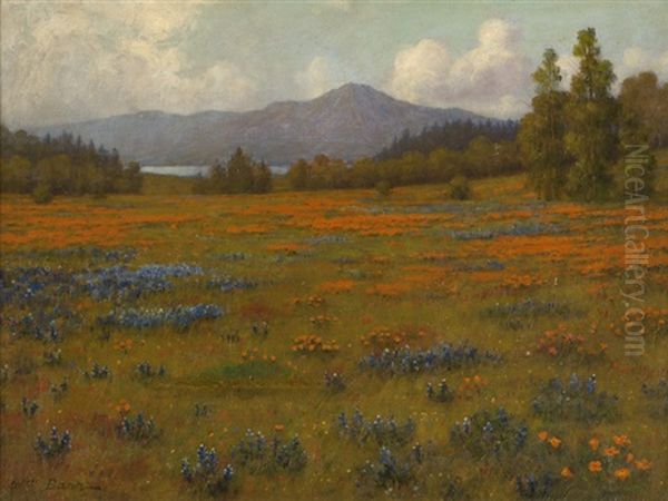 Poppy And Lupine Landscape Oil Painting by William Barr